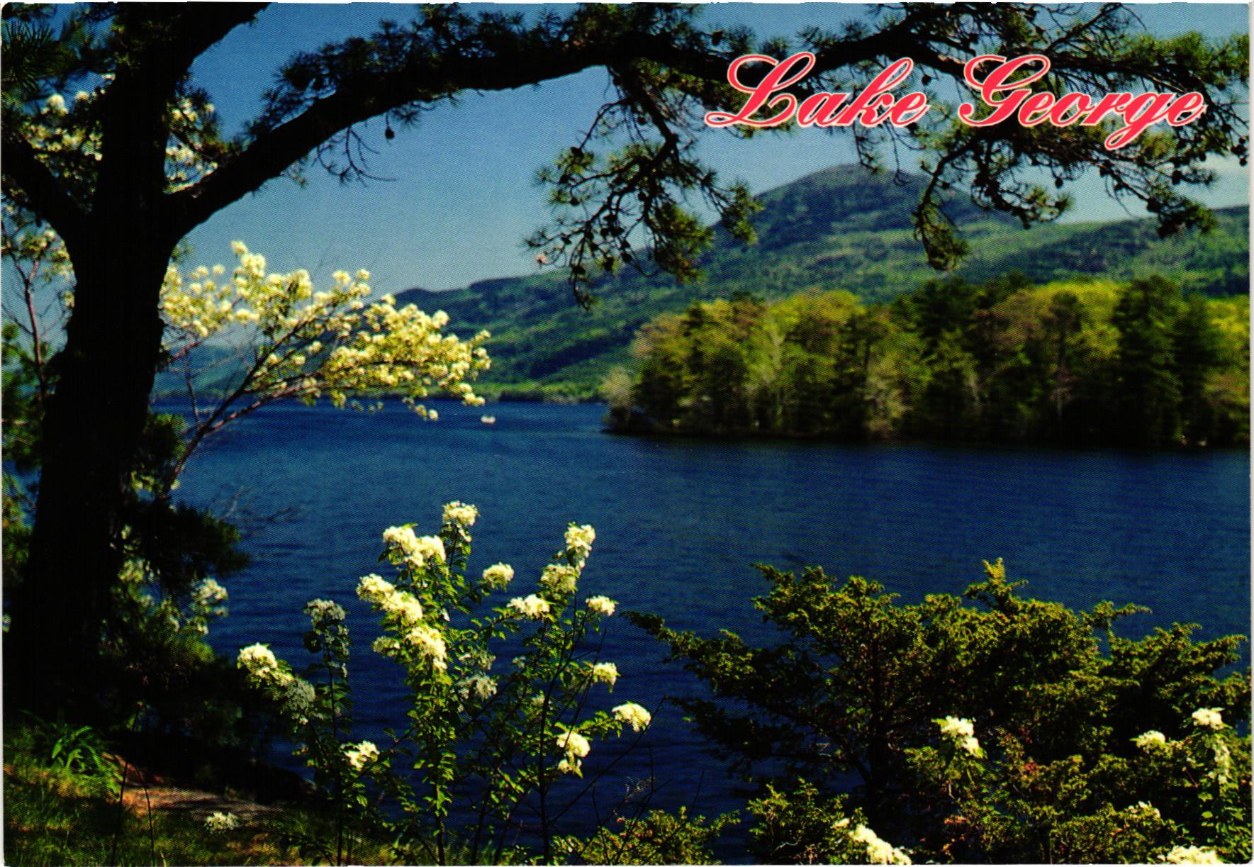 postcard365/postcard_013.jpg